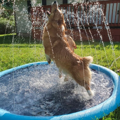 Dog Splash Sprinkler Pad