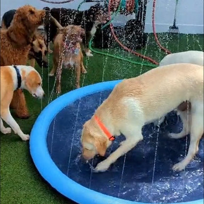 Dog Splash Sprinkler Pad