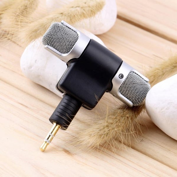 Mini Digital Stereo Microphone