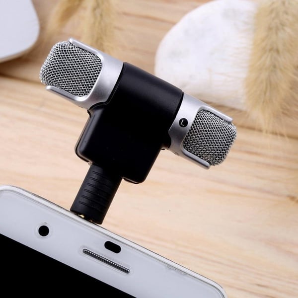 Mini Digital Stereo Microphone